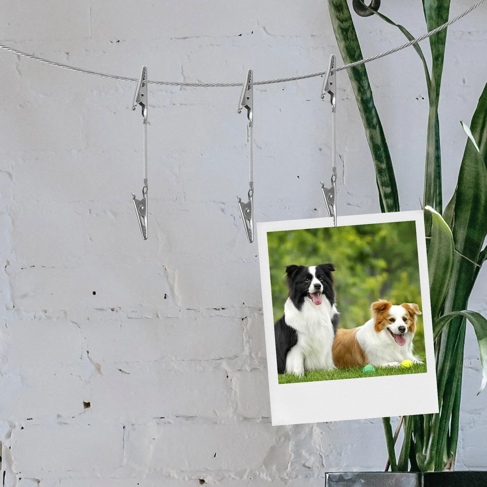 Photo Clip Wall Hanging Kit – Double-Ended Alligator Clamps, Metal Wire Display Cable for Pictures & Photos