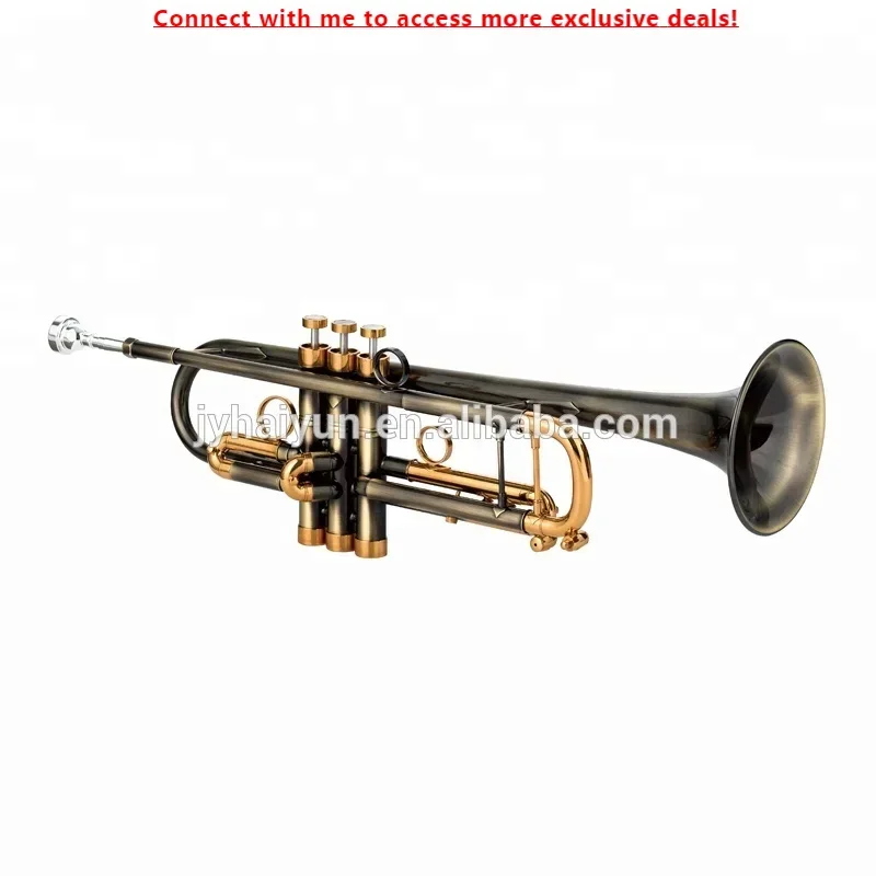 

SEASOUND Professional Vintage BB Tone Trumpet OEM Gold Brass Body With Durable Keys JYTR409DVGGL