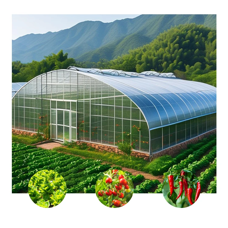 Agriculture Farm House - Großes begehbares Garten-Gewächshaus, Folientunnel, landwirtschaftliches Farmzelt