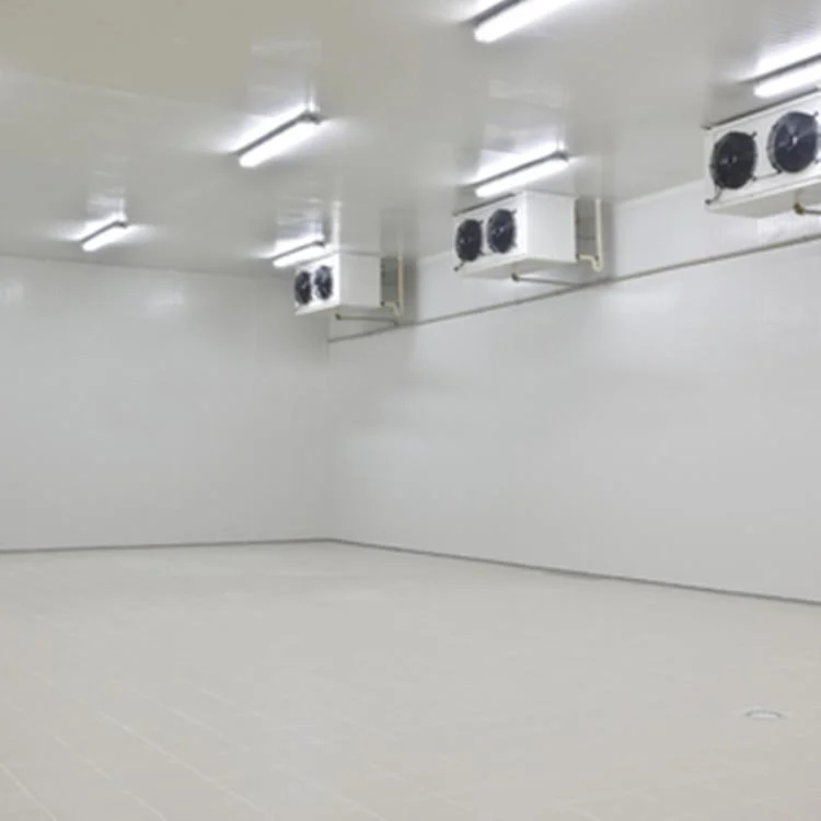 Refrigeration Walk in Cooler Freezer Storage Cold Room for Hotel / Supermarket / Restaurant