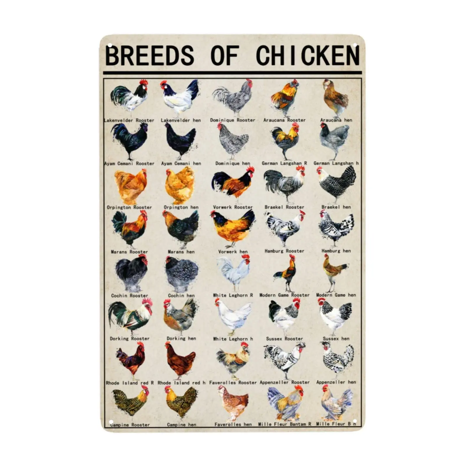 Breeds Of Chicken Vintage Metal Tin Signs World Education Science Classroom Chart Retro Wall Decor Wall Art Funny Posters Gifts 