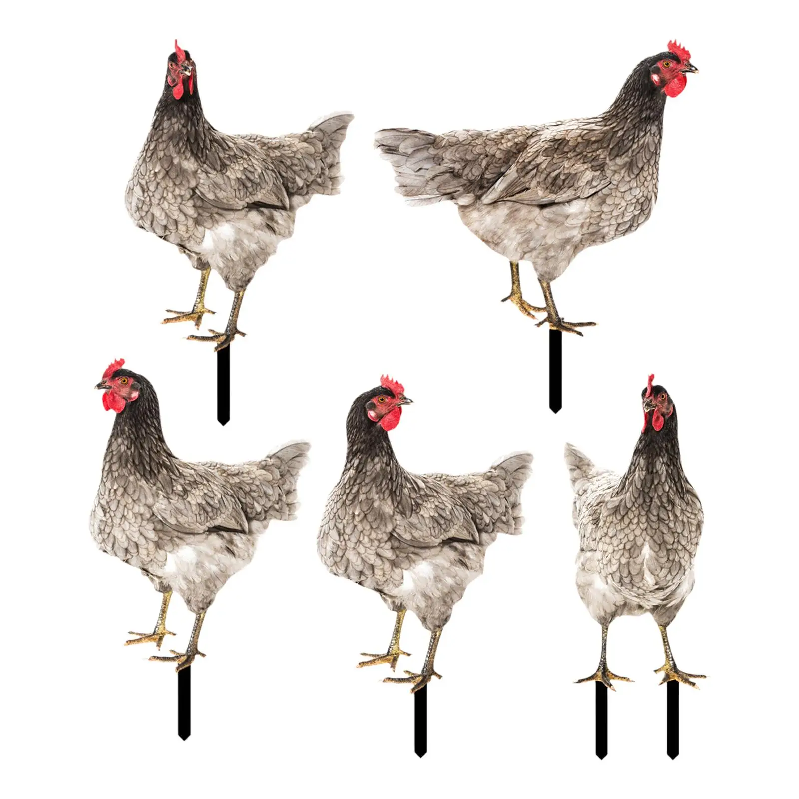Chicken Garden Decor Patio Acrylic Animal Stake 2D Plaque Sign Charm Hen Lawn Ornament for Spring Backyard Holiday Thanksgiving