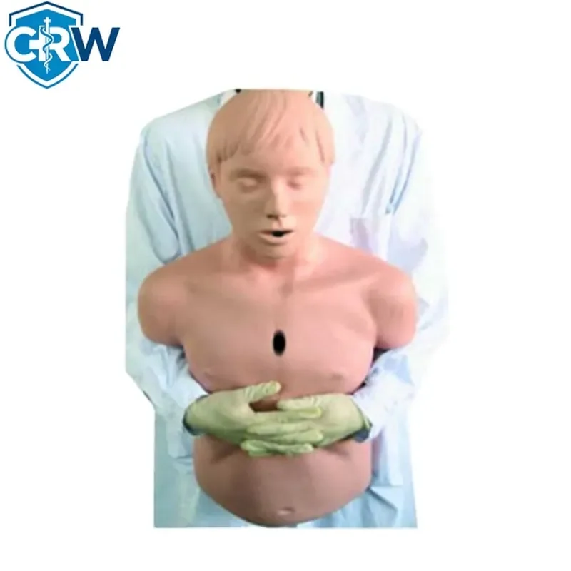 CRW Bestselling Advanced Pvc Adult Airway Obstruction Educational Training Model Medical
