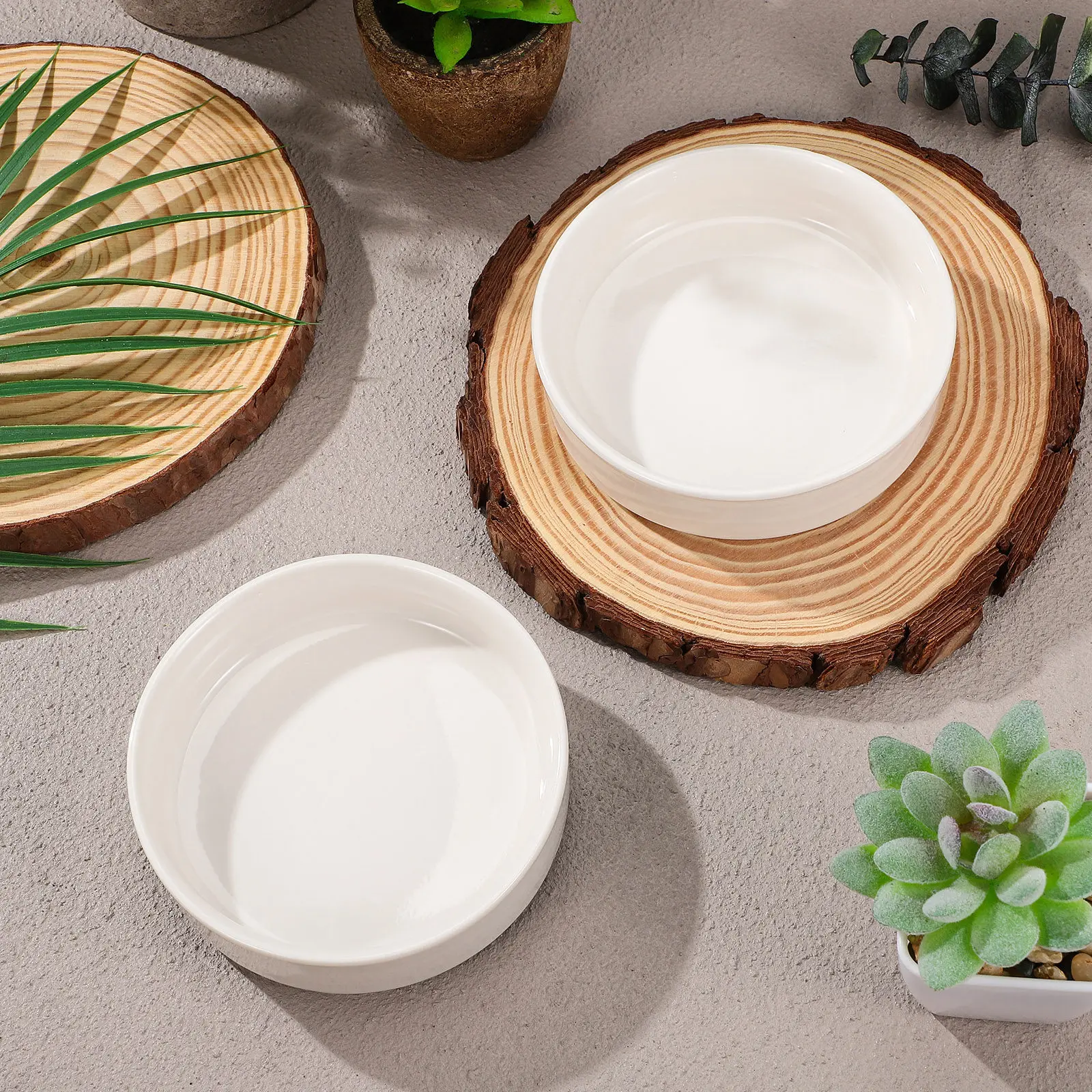 2Pcs Round Ceramic Pot Saucer Premium Plant Saucer for Water Catching Indoor Patio Garden Planter Drainage Tray Flowerpot Drip