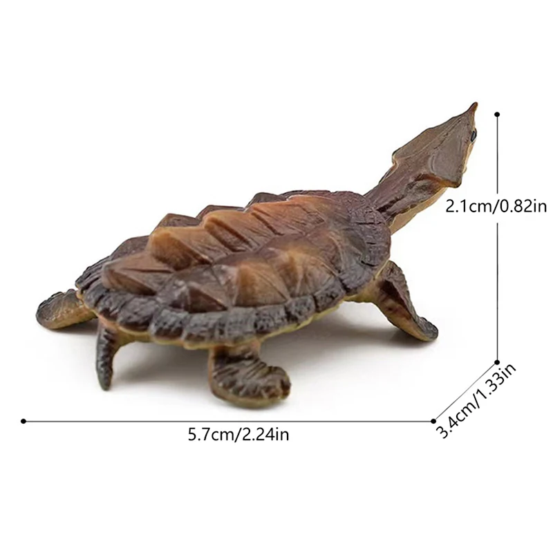 Realistic Turtle Action Figure Animals Figurines Kids Children Toys Models Miniature Aquarium Figures Ocean Models Gift
