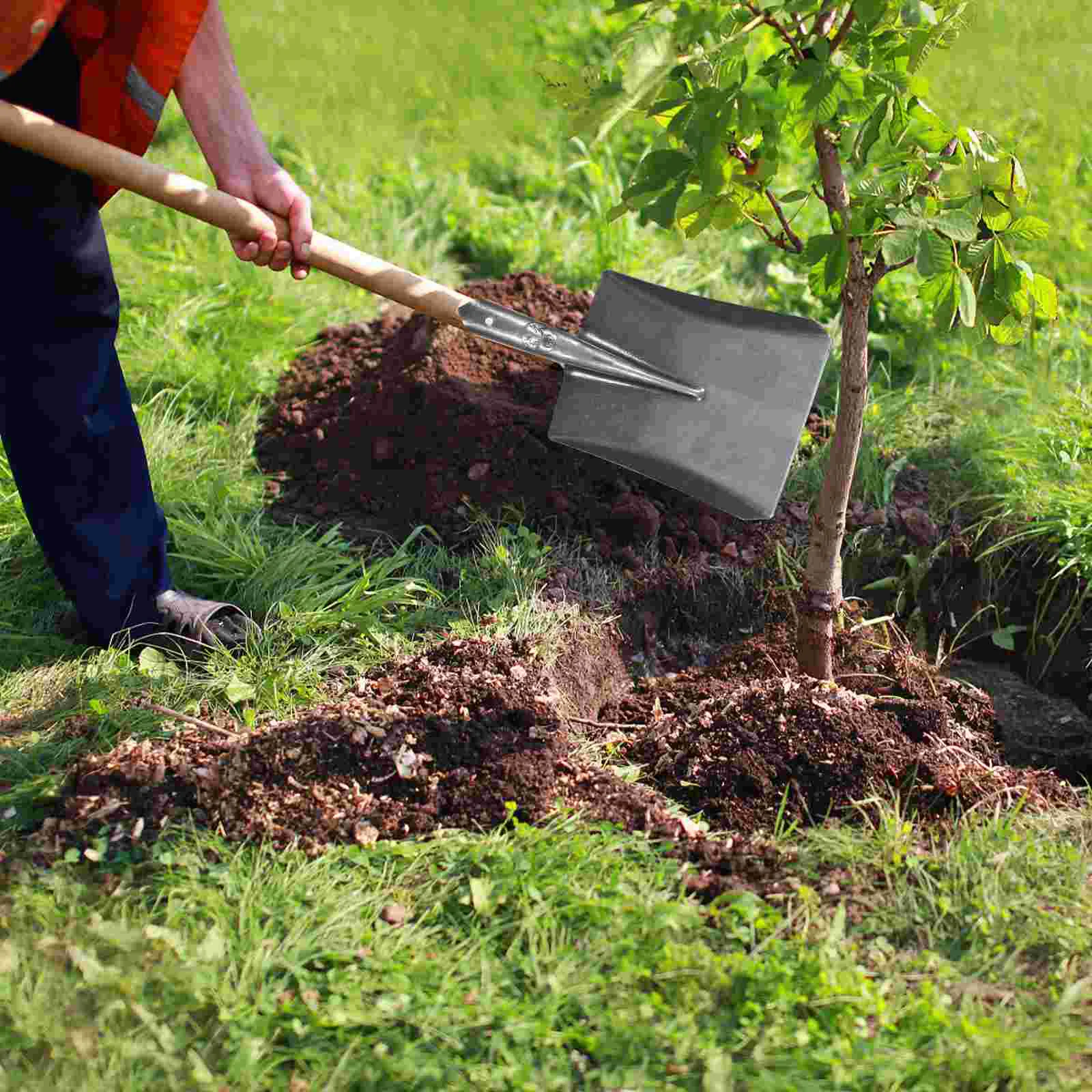 Rastrelli per attrezzi agricoli Pale manuali per cenere senza manico Pala da giardino in acciaio per uso domestico Fiore in carbonio