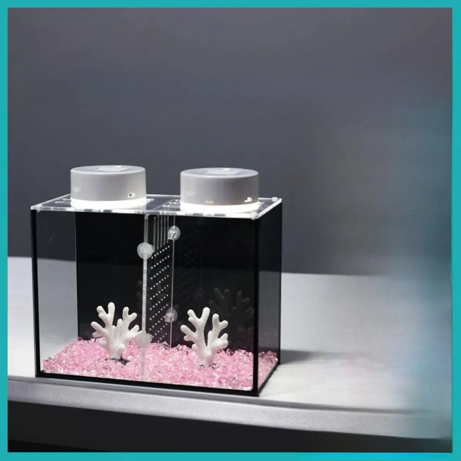 Glass Betta Fish En…