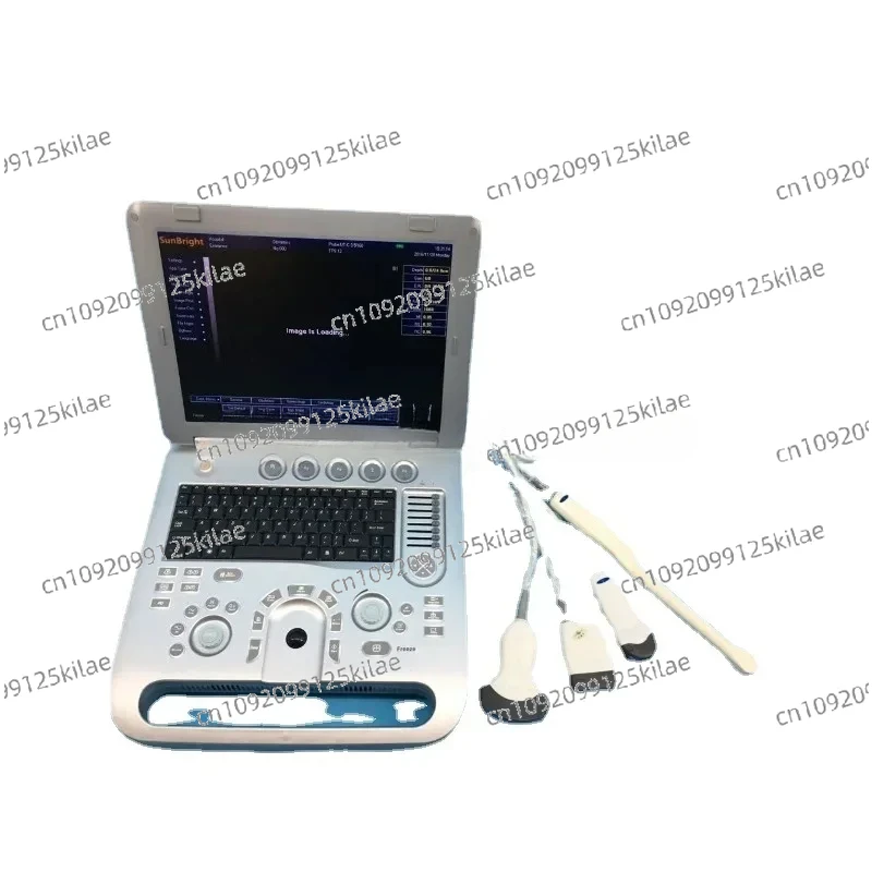 3D Portable ultrasound Machine, Optional 4D Pseudo Color Digital Scanning Machine