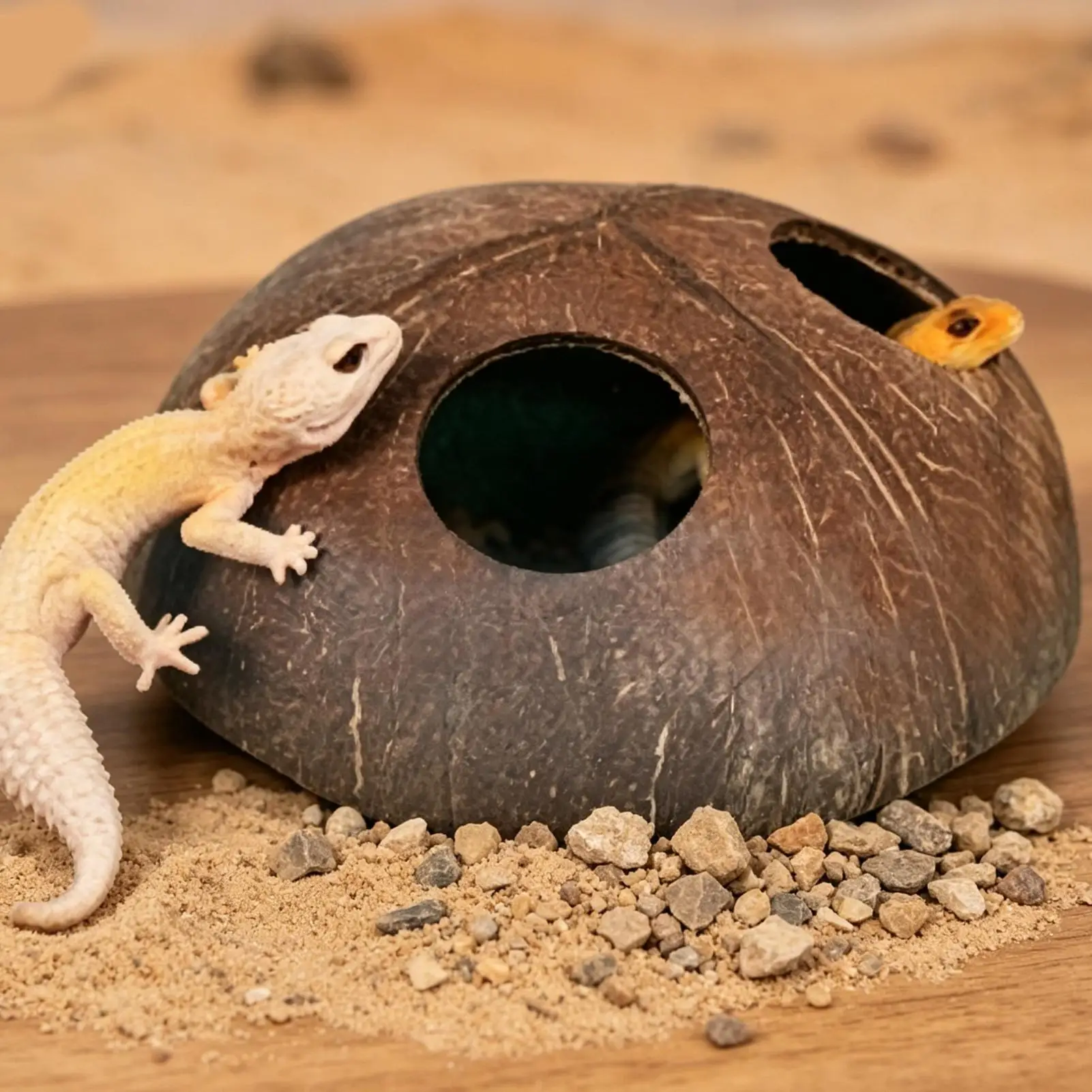 Natürliche Doppel-Eingangs-Lizard-Cave, dekorative handgefertigte Reptilien-Versteckhöhle für Taranteln, Chamäleons, Geckos und kleine Landtiere – Detail 3