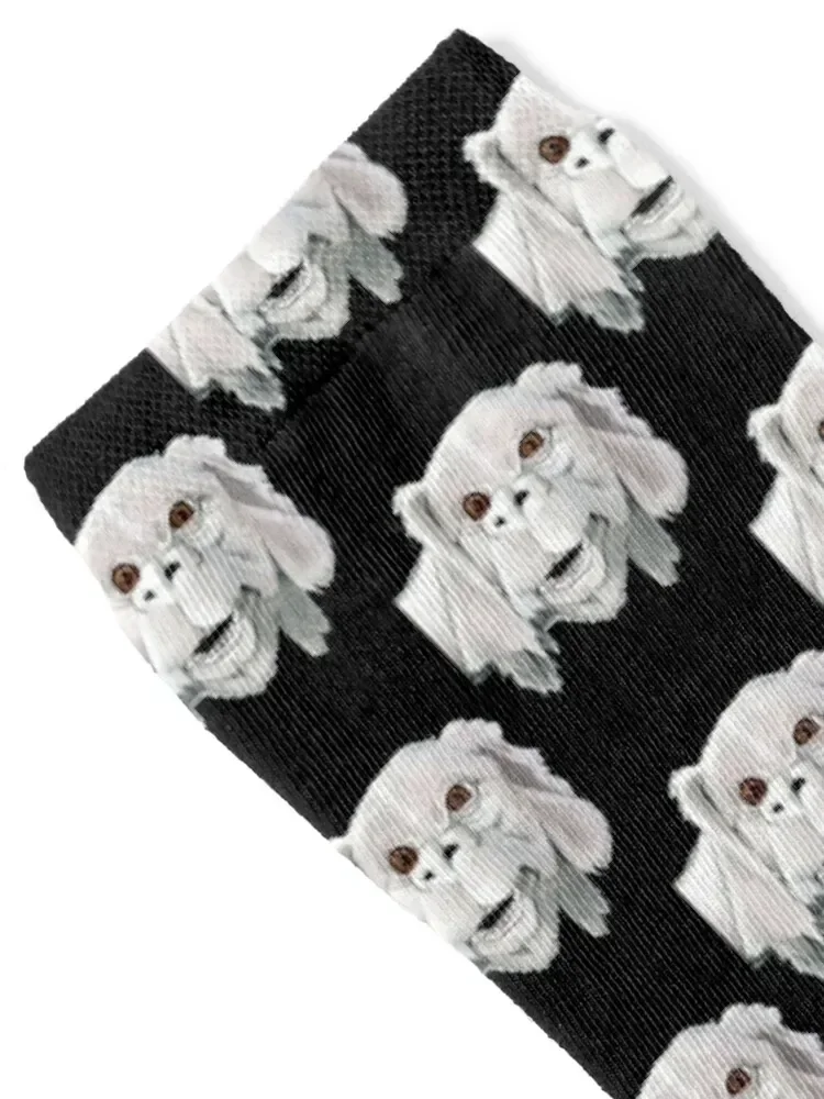 Falkor - Neverending Story - Costume Socks aesthetic bright garter Boy Socks Women's