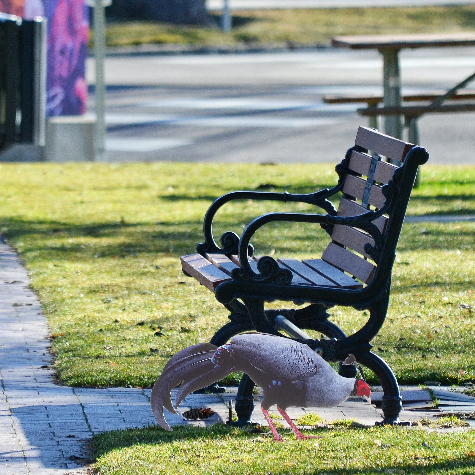 

chicken yard sign garden chicken stake lawn chicken stake yard chicken stake decorative chicken stake