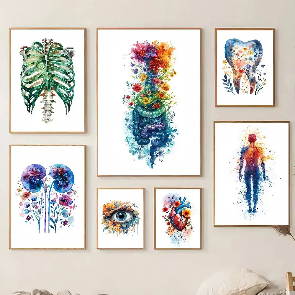 Anatomy Heart Lung Brain DNA Floral Watercolor Poster Self-adhesive Art Room Entrance Restaurant Wall Decor Art Painting