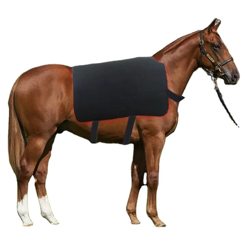 Horse Animal Back Pulse 660nm 850nm Infrared Pet Red LightTherapy Pad PDT Machine for Pain Relief Rehabilitation Animal Care