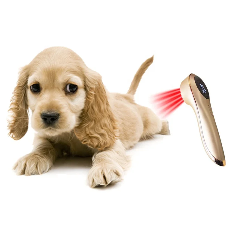 Mini Handheld Portable Veterinary Full Body Cold Laser Therapy Painless Device Laser Pain Relief Treatment Machine