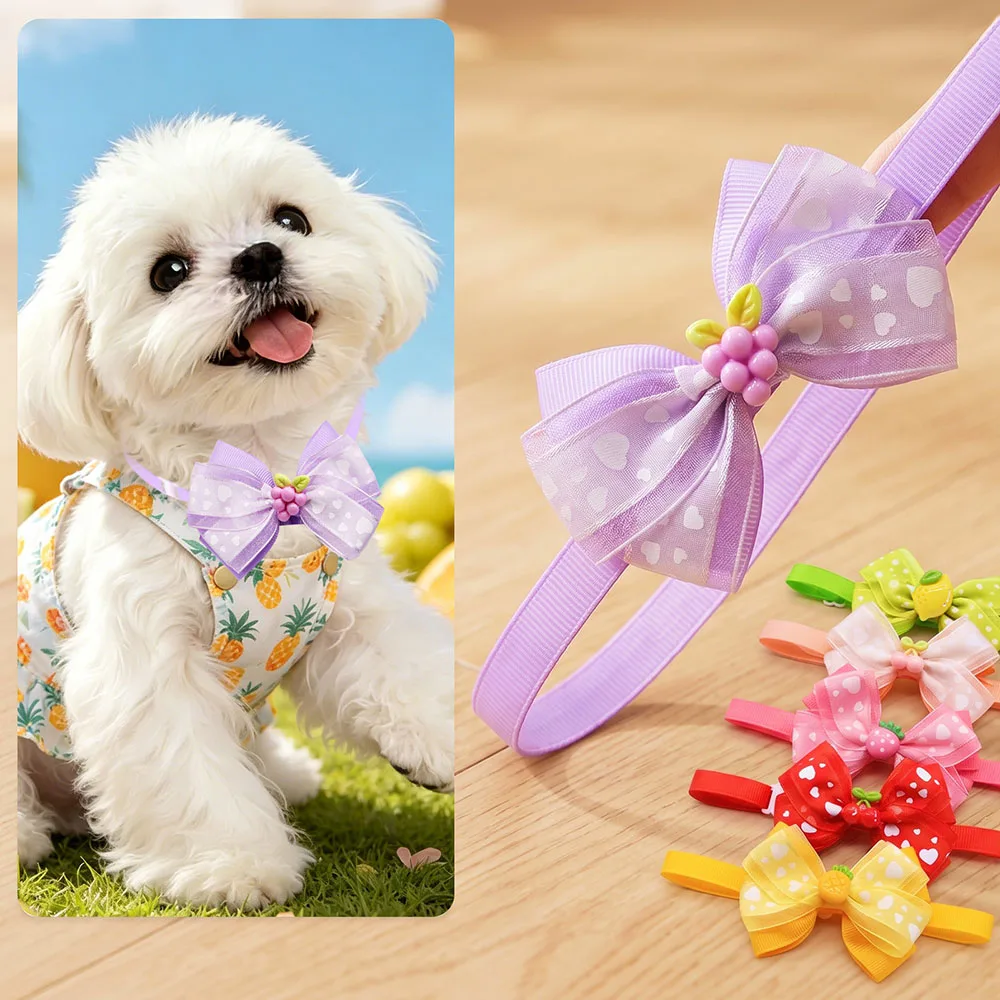 Lazos de frutas para perros y collar ajustable en gatos - imagen 5