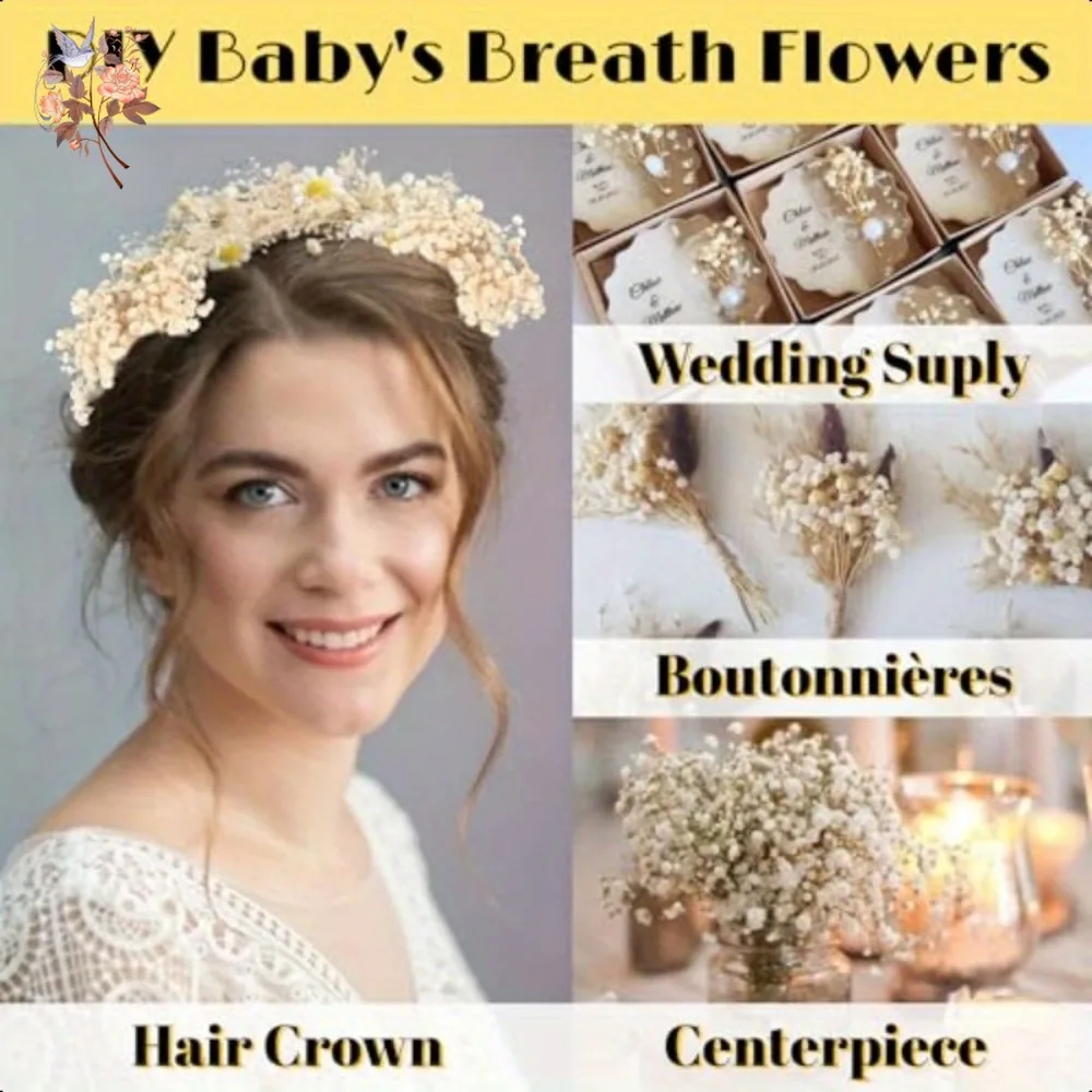 100pcs Mini Baby's Breath ดอกไม้สําหรับเรซิ่นหัตถกรรม DIY ตกแต่งบ้าน real touch Gypsophila ขนาดเล็ก Bundle ประดับของขวัญ