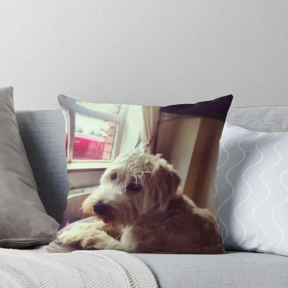 Harry, Wheaten Terrier Throw Pillow Luxury Pillow Cover Decorative Cushions For Living Room Christmas Cushion For Home pillow