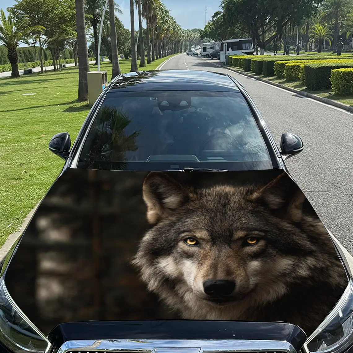 

Car Decals Wolf with a Focus on Its Expressive Face and Textured Fur Against a Naturalistic Backdrop Car Hood Sticker, Waterproo