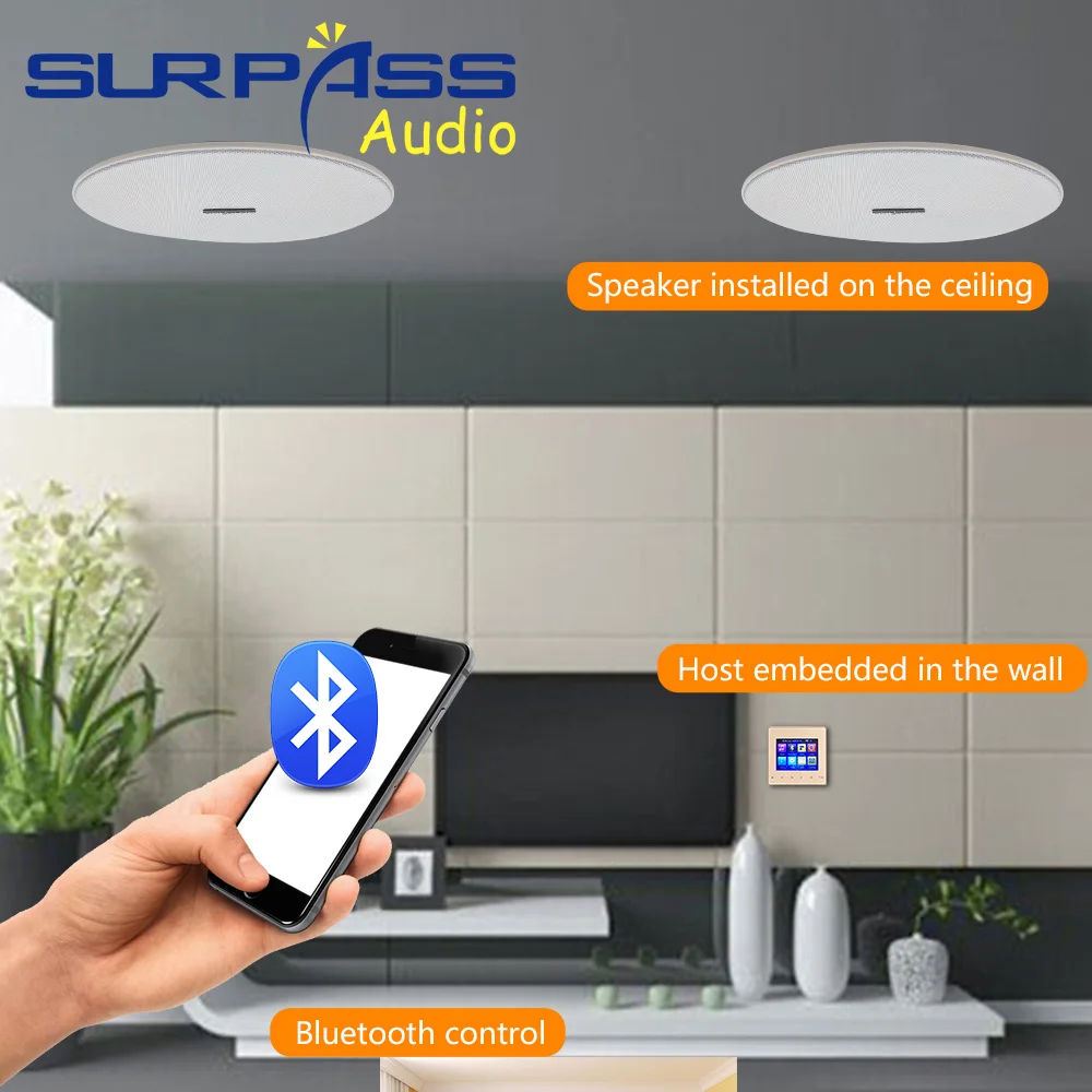 Bluetooth Smart Home Wall Amplifier Audio Background Music System Digital Stereo Power Amp with Coxial Ceiling Speaker FM AUX In