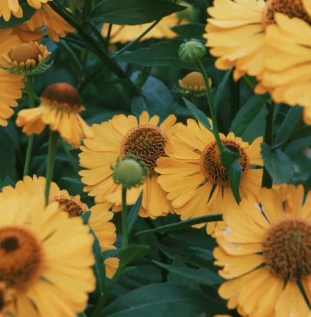 

Аппарат ударно-волновой терапии ESWT для физиотерапии, удаления целлюлита, восстановления мышц и снятия воспалений