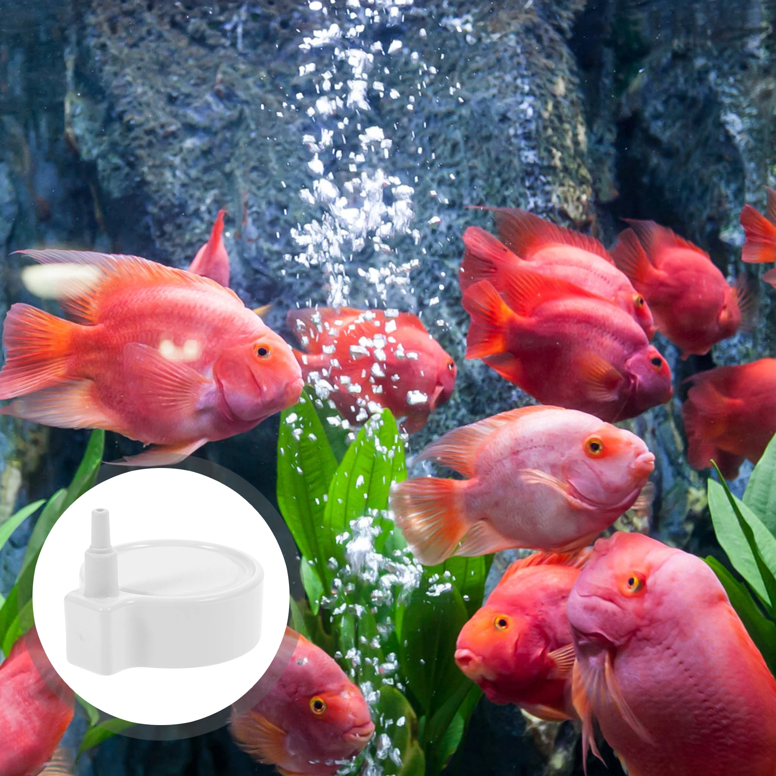 

Stone 1Pc Durable ABS Material Oxygen Bubbler for Fish Tank Aquarium Nano Bubble Diffuser Hydroponic Supply
