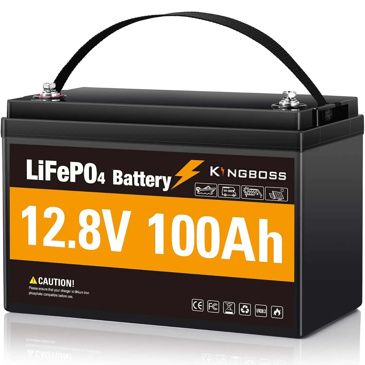 12V 100Ah LiFePO4 Battery 8000+ Deep Cycles Group 31 100A BMS Low-Temp Protection for Solar RV Trolling Motor, Customized