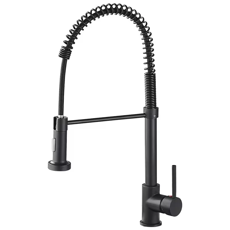 

Contemporary Modern Matte Black Single-Handle Pull-Down Sprayer Kitchen Faucet with Stainless Steel Spring Design
