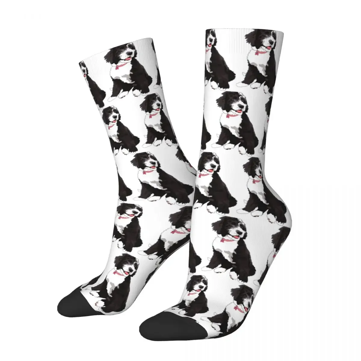 Cute Bernedoodle Socks Harajuku High Quality Stockings All Season Long Socks Accessories for Unisex Birthday Present