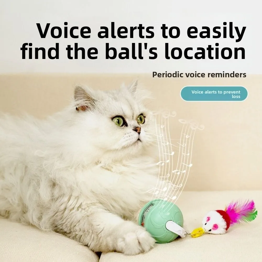 Criativo infravermelho automático rolamento bola alerta de voz mordida-resistente automático provocando brinquedos do gato engraçado baixo ruído