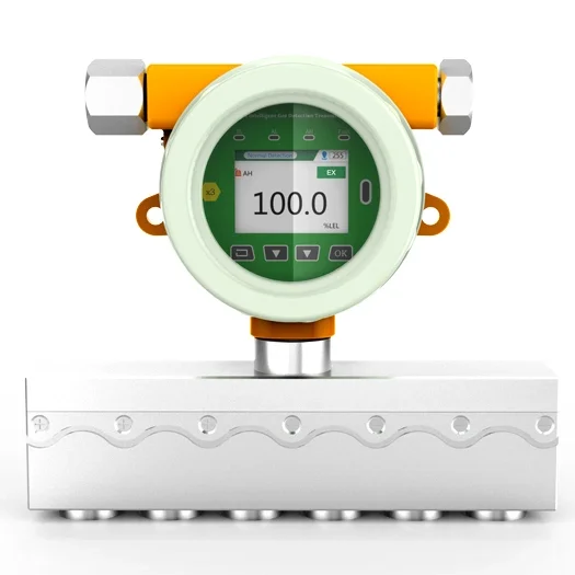 High Sensitivity and Accurancy Fixed Gas Analyzer