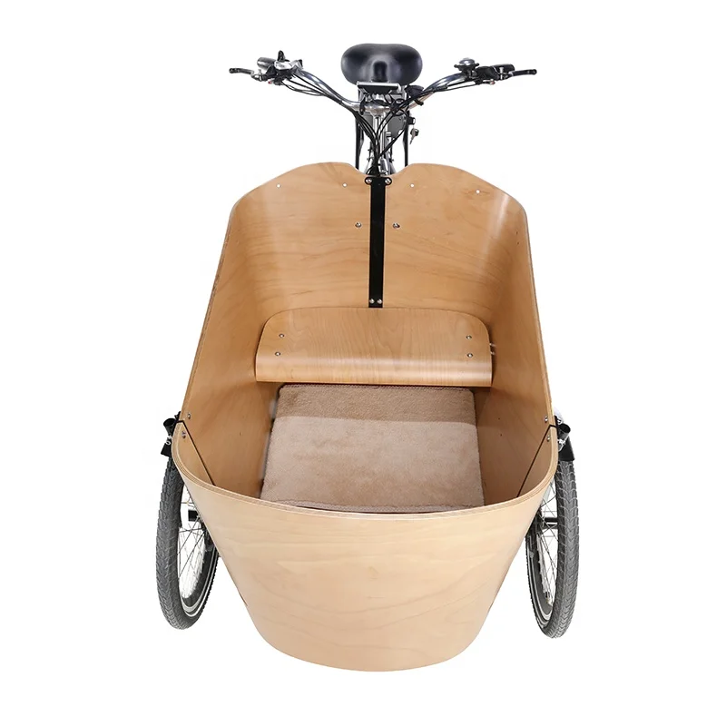 China Manufacturer 20 Inc 3 Wheels Electric Bike E Tricycle for Adult