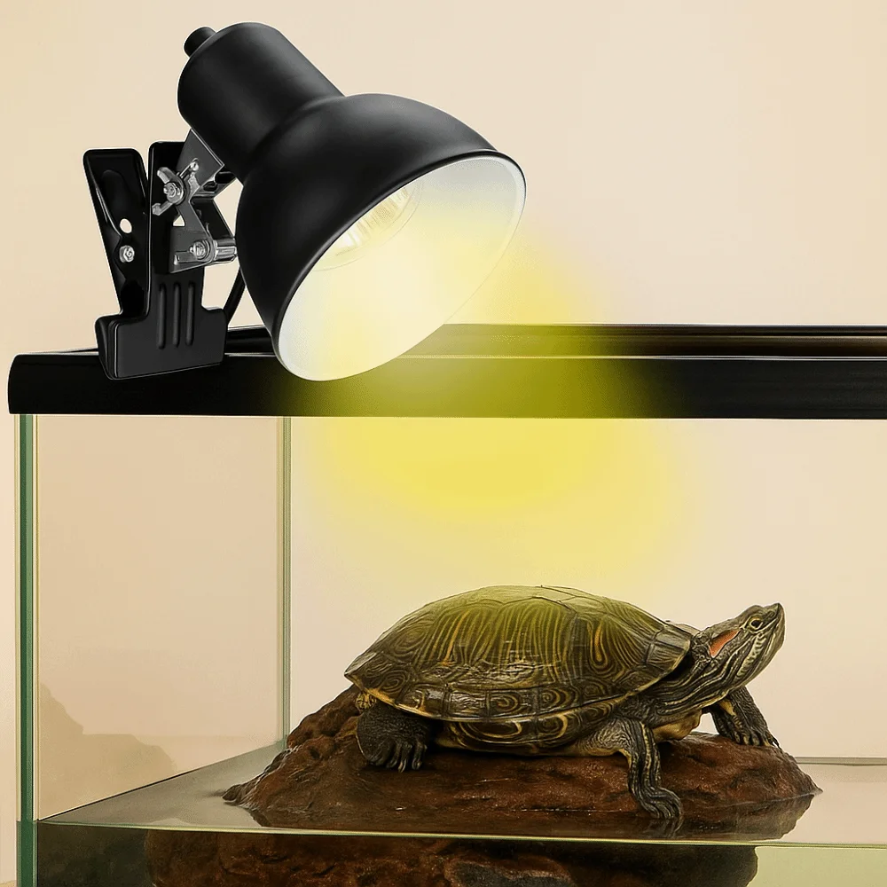 Portalámparas con Clip, lámpara para tomar el sol de tortuga, termostato, lámpara de calor para reptiles, 75W, bombilla de calor para mascotas