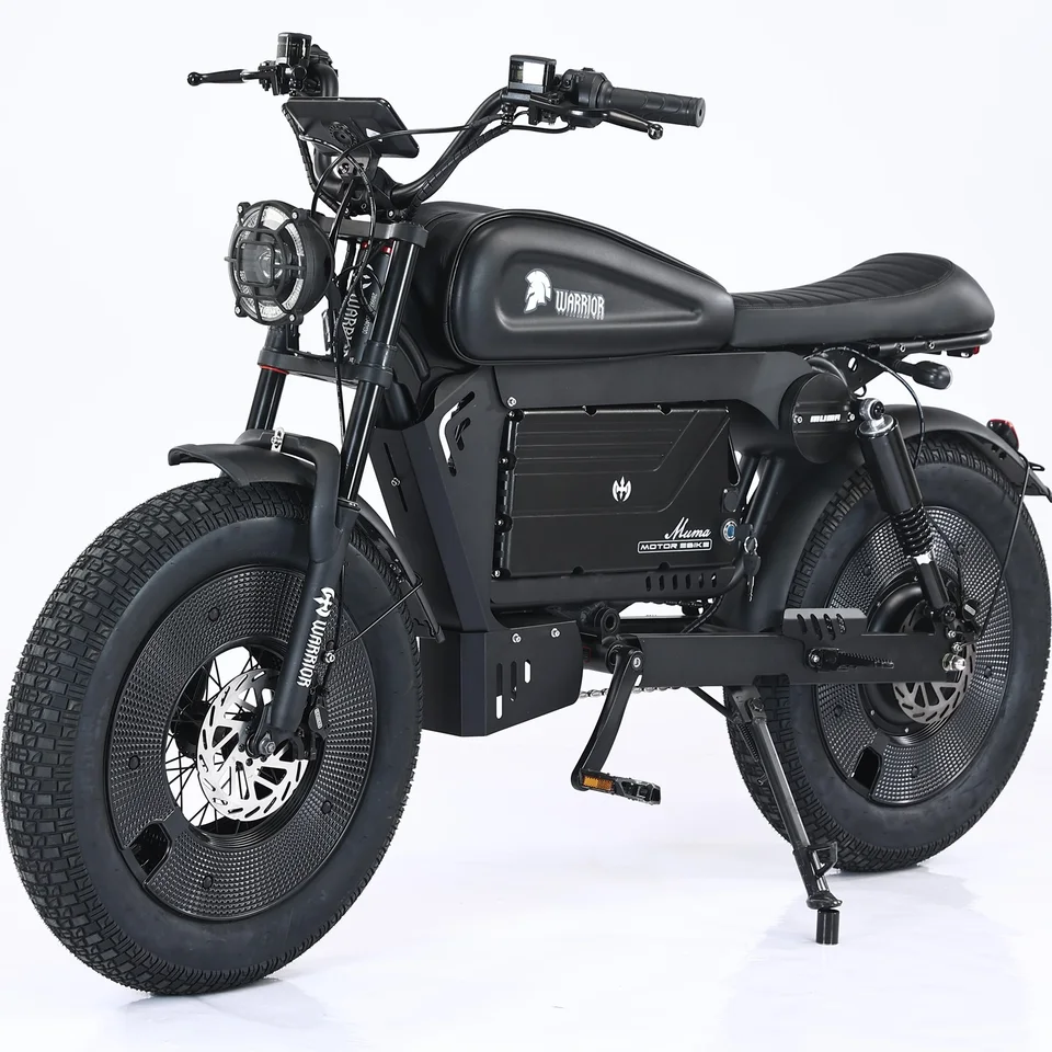 2025 New  SS10 Warrior Electric Bike  20 Inch Fat Tyre Electric Bike Mountain Snow City Electric Bike image 6