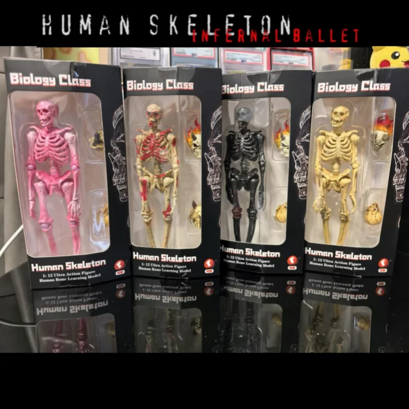 Keep Going 6 Color 1/12 Scale Soldier Scene Accessory Human Skeleton Full Set 6-inches Action Figure Model Doll Collection