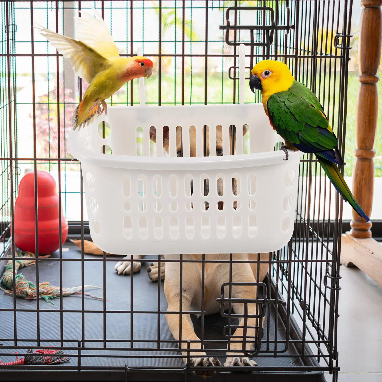 

2pcs Hamster Hanging Baskets Small Pet Hanging Nests Breathable Mesh Hollow Design Bright Color Durable Skin-Friendly Pet