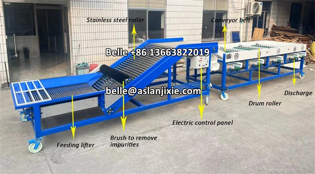 Fruit Orange Lemon Size Grading Machine Tomato Sorting Machine Onion Garlic Drum Roller Classifier Machine
