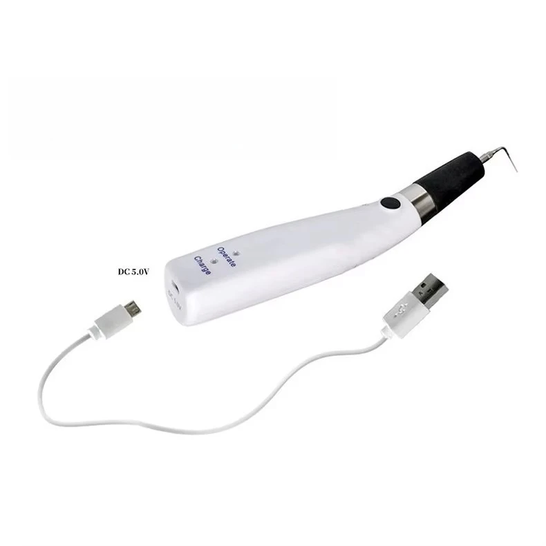 Dental Endodontic Activator Root Canal Irrigator Wireless Sonic Cleaner  With Tips