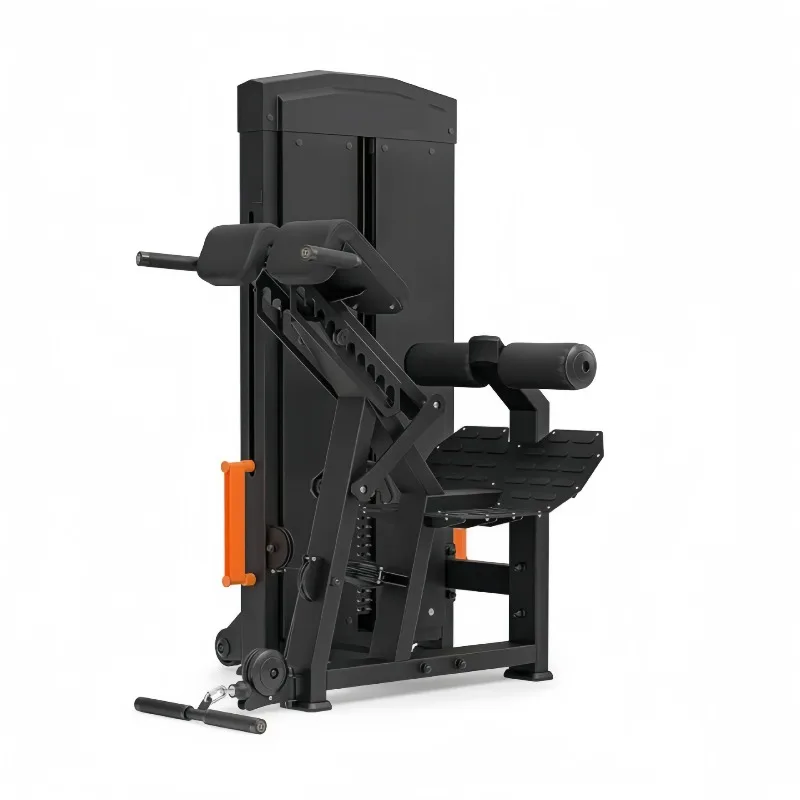 

New Power Series Hip Bridge Hip Push Back Stretch Standing Posture Abduction Rhino Squat Standing Posture