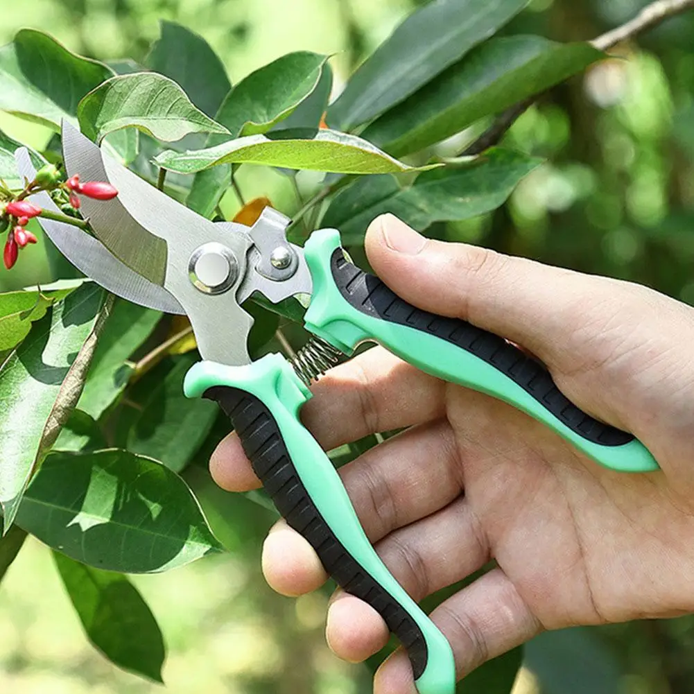 

Stainless Steel Professional Gardening Shears Pruning Branches Fruit Trees Flowers Household Pruning Tools Shears