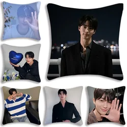 1pc Byeon Woo-seok Korea Pillow Covers Cartoon Sofa Decorative Home Printing Polyester Fabric Cute Cushion Cover