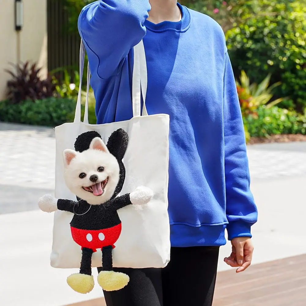 Pet outing bag wholesale cat bag crossbody portable cat  outcrop shoulder supplies portable