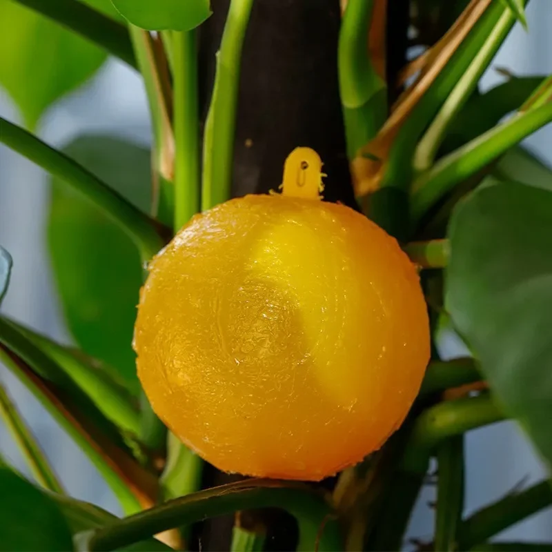Wasserdichte Zweifarbige Fliegenfangkugel mit Visuellem Anlockdesign, Langlebige Klebefalle für Flügelschädlinge, Praktisch für die Landwirtschaft – Detail 3