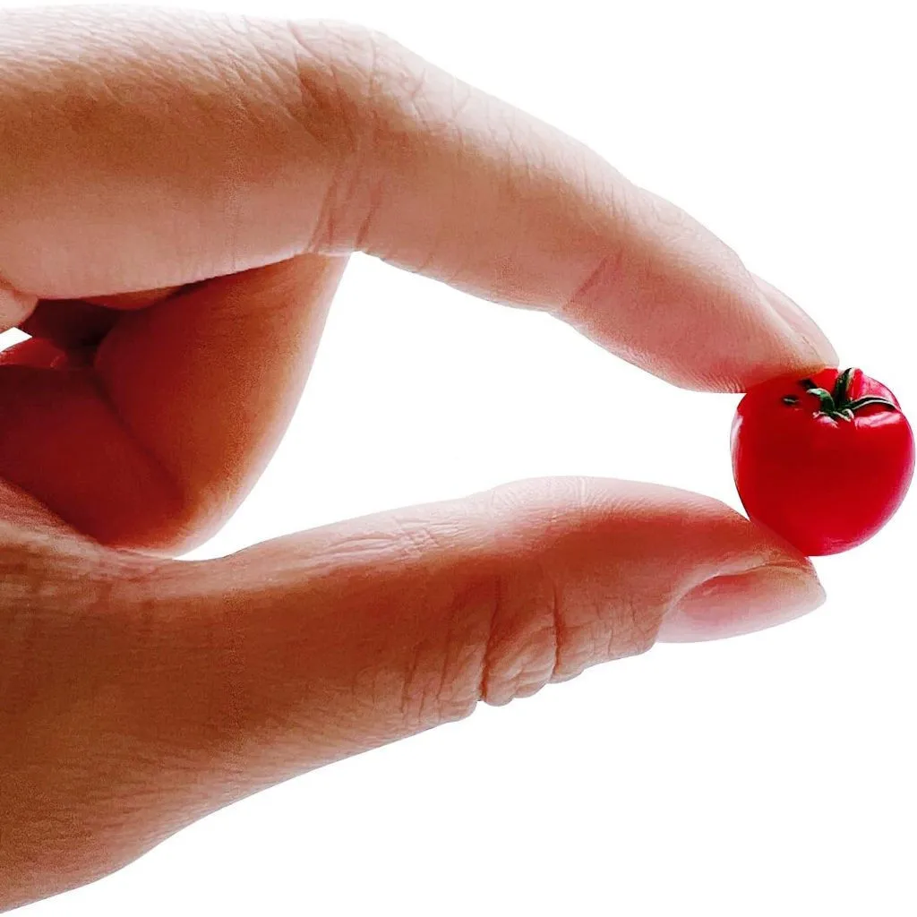 Mini jouets de fruits, jouets de légumes, Mini modèles alimentaires, enfants de la maternelle, Mini jouets de décoration de la maison