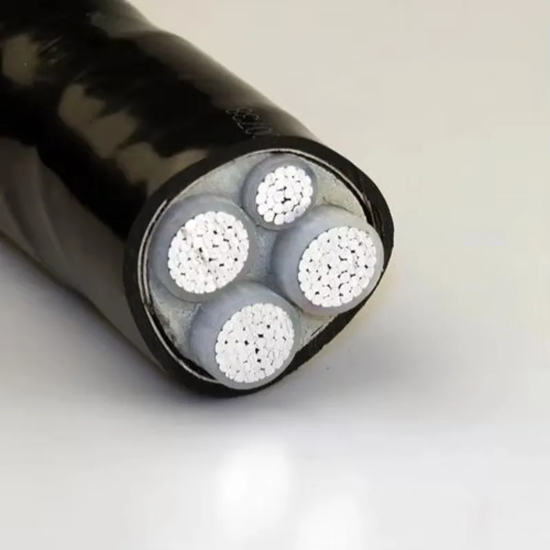 

【From China】YJLV 3*16+1*10 0.6/1KV Rated Electric Power Cable for Smooth Delivery Across the World