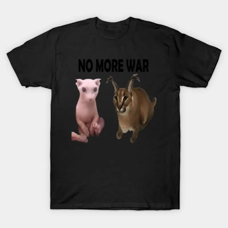 Big Floppa And Bingus No More Wars T-Shirt