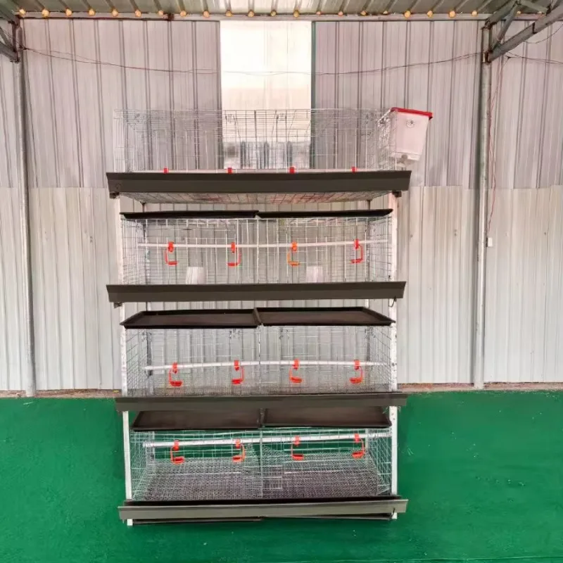 Automatic chicken cage system Poultry breeding H-type 4-layer broiler breeding cage