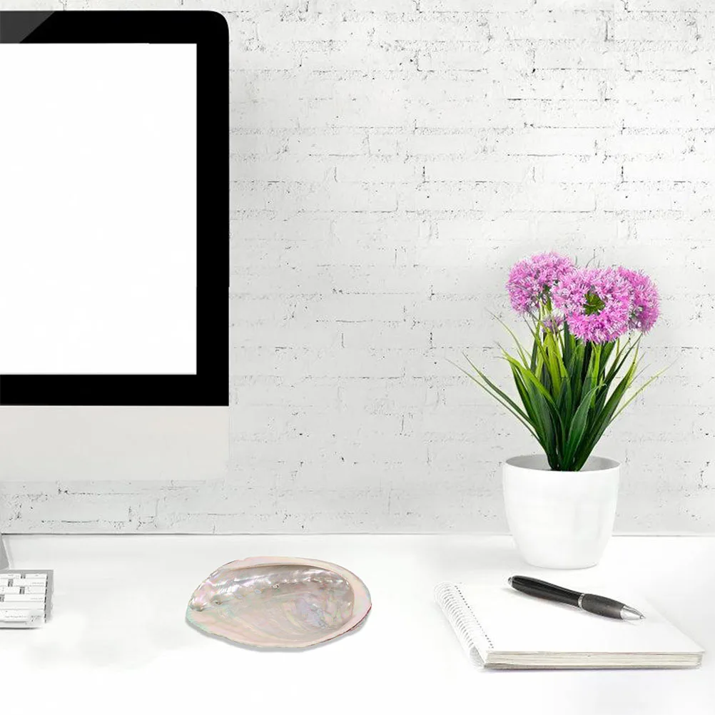 

2Pcs Abalone Shell Decor Rough Natural Ornament Grass Burning Shell Holder Aquarium Fish Tank Offering Container