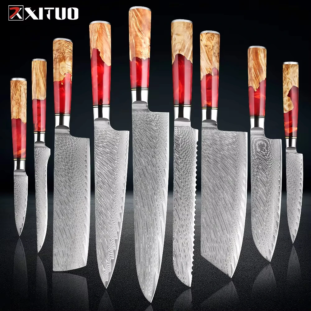 

XITUO 1-9Piece Damascus Steel Kitchen Knives Set Includes Chef Knife,Bread Knife,Cleaver, Santoku Knife,Nakiri Boning Knife
