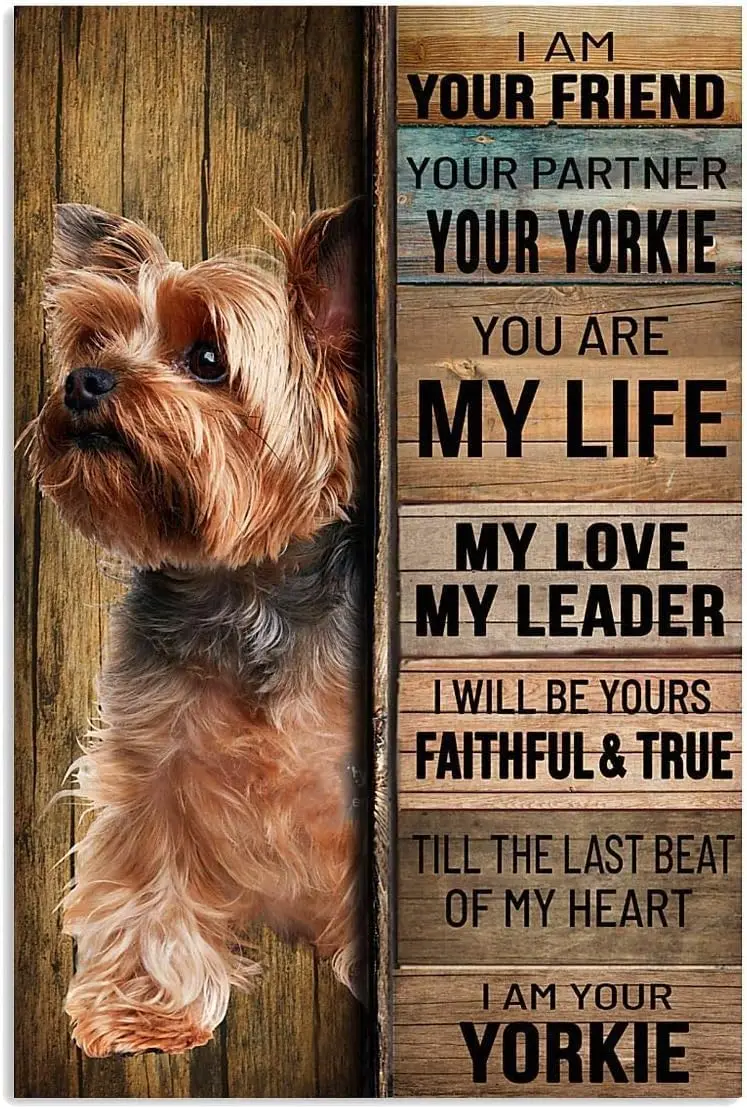 Funny Tin Sign Yorkshire Dog I Am Your Friend Your Partner Your Yorkie Living Room, Kitchen, Farm Tin Sign Hanging Poster Decor