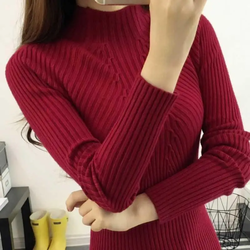 Autumn Winter Turtleneck Sweater Women Basic Slim Pullover Women Sweaters And Pullovers Knit Jumper Ladies Tops 2024